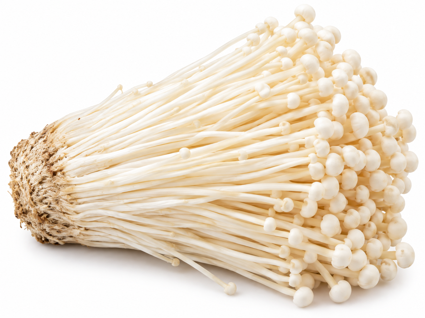 Enoki Mushroom