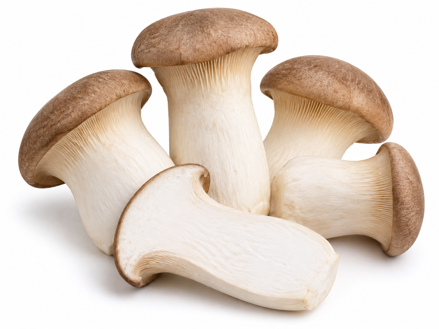 King Oyster Mushroom