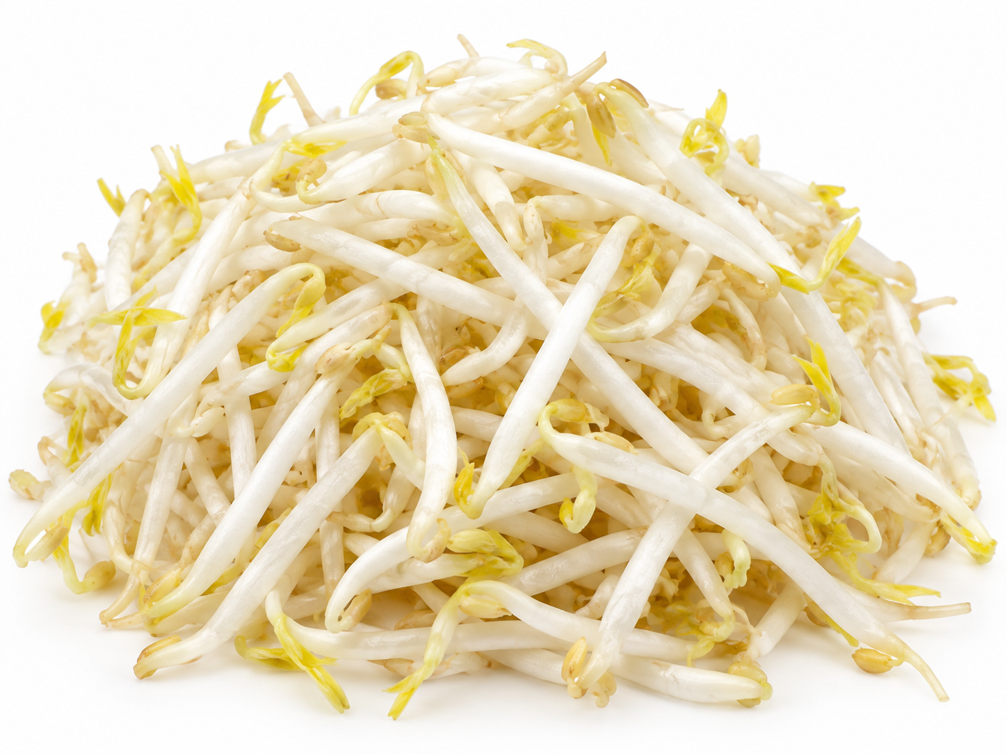 Bean Sprouts