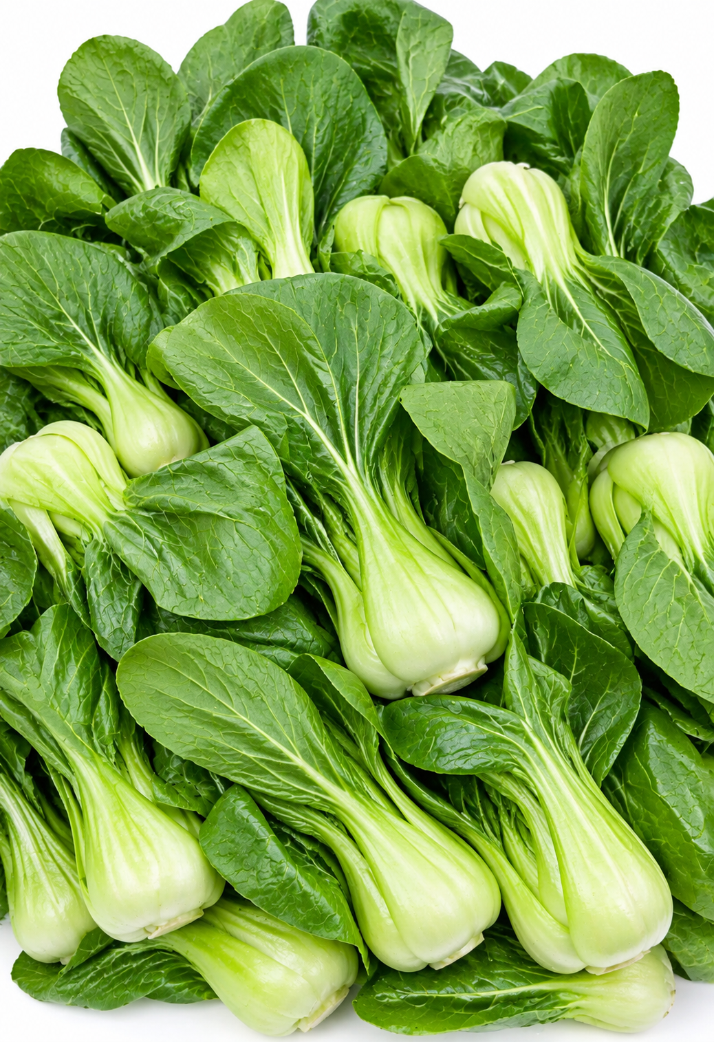 Bok Choy