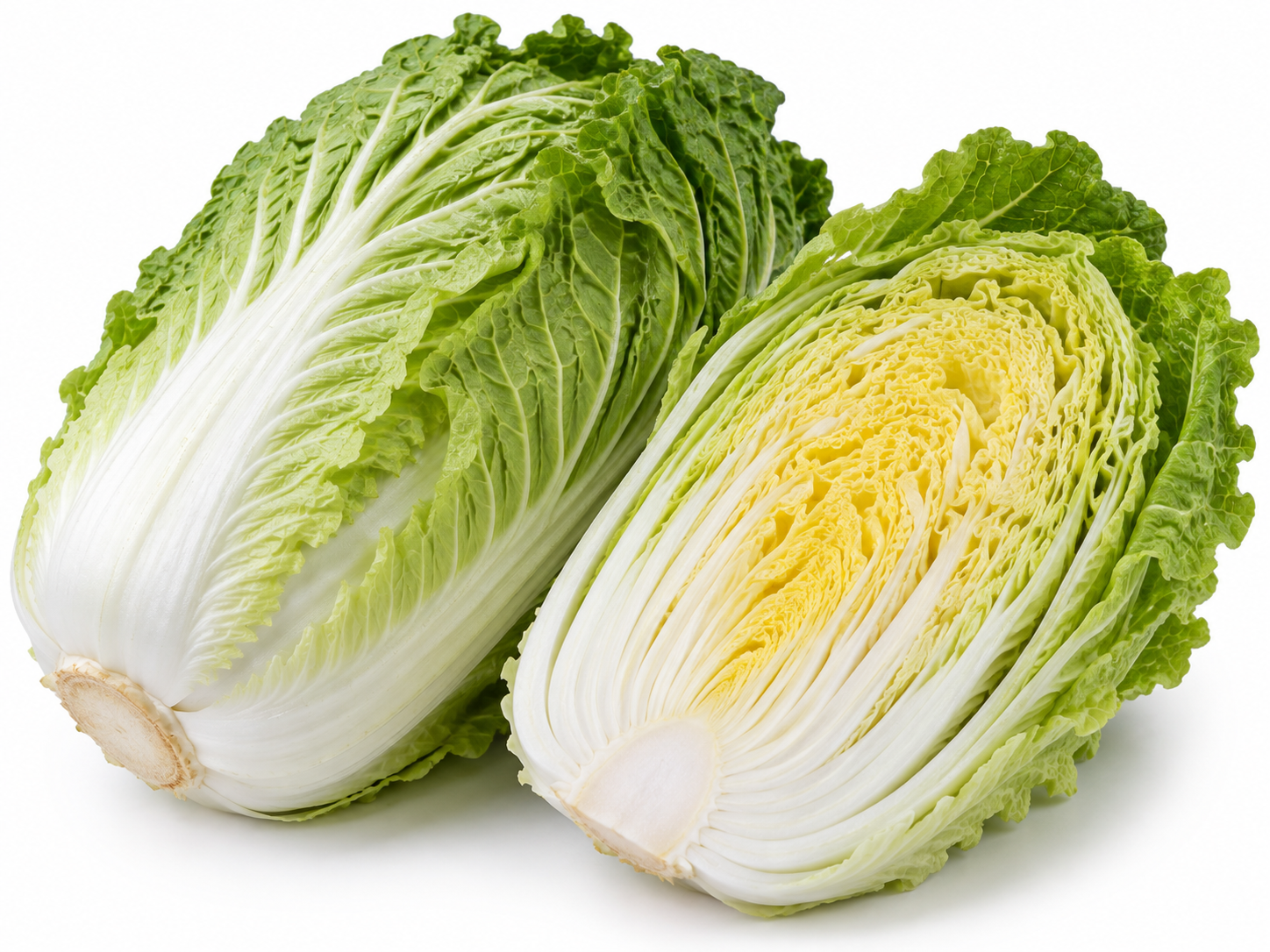 Chinese Cabbage