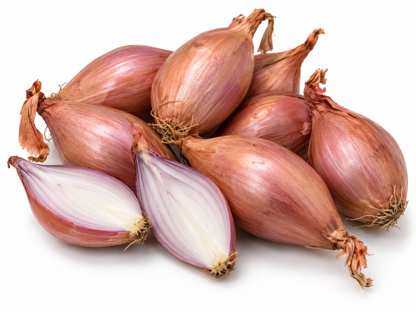 Shallot