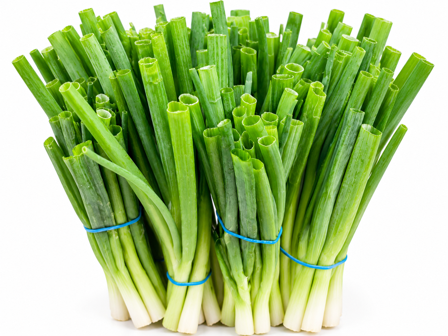 Spring Onion