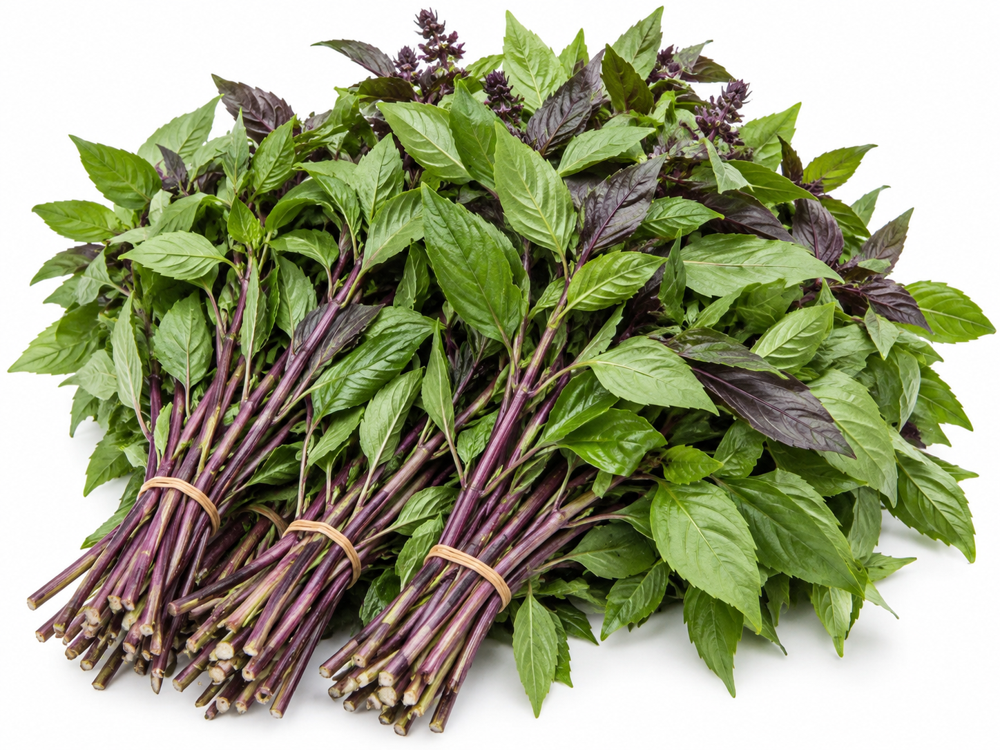 Thai Basil